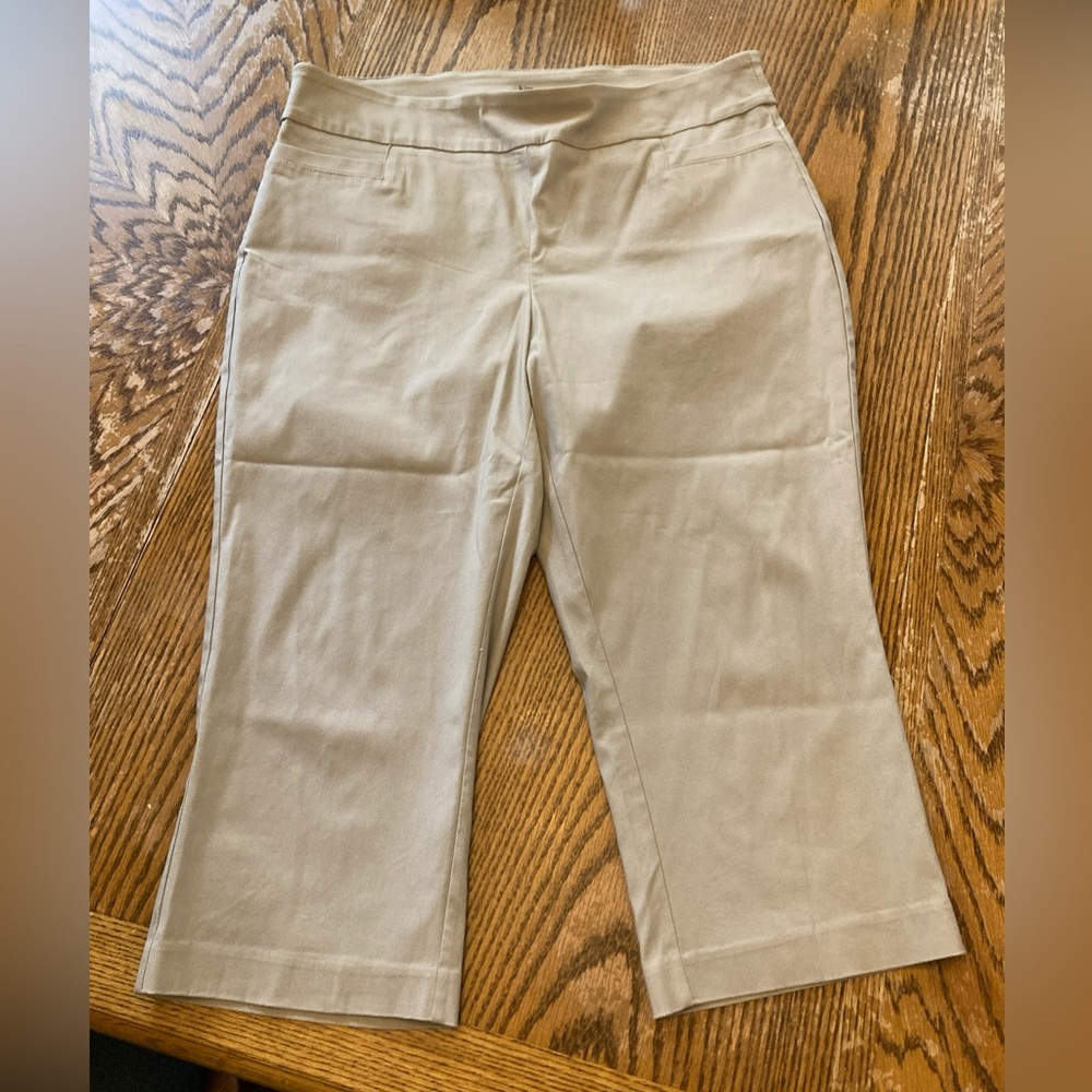Kim Rogers Khaki Capri Cropped Dress Pants 18W Tummy Control GENTLY WORN